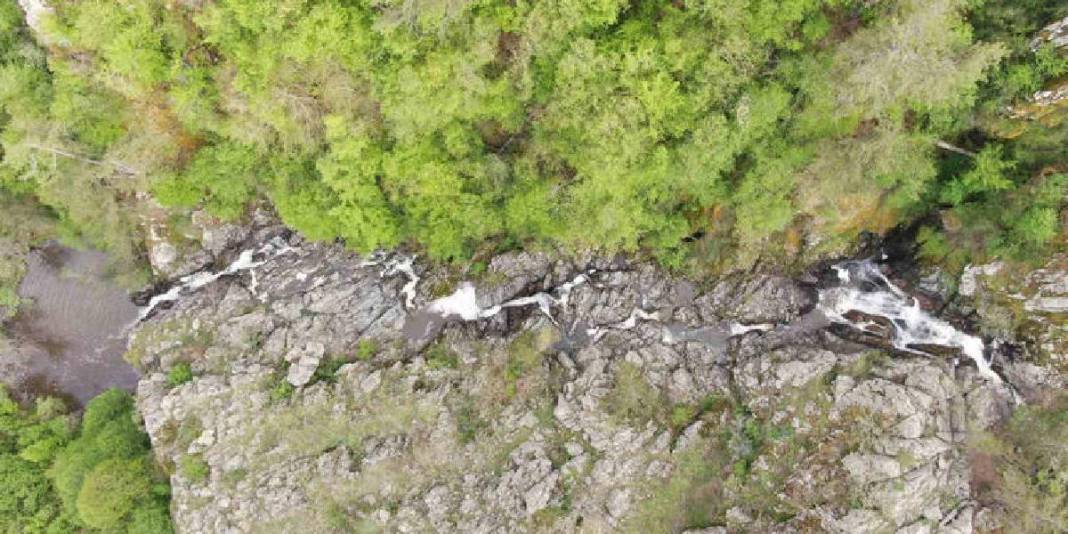 Ormanın içinde gizli kalmış cennet! Bu şelale göreni mest ediyor: Turistler akın etmeden burayı görün! 5